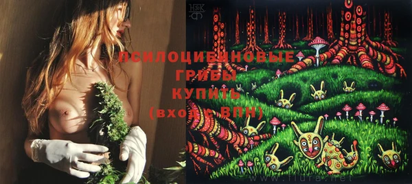 гидропоника Арсеньев