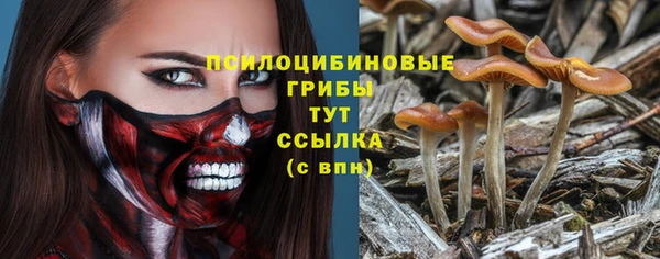 apvp Осташков